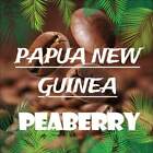 PAPUA NEW GUINEA COFFEE BEANS, PEABERRY MEDIUM ROASTED 2 OR 5 POUNDS