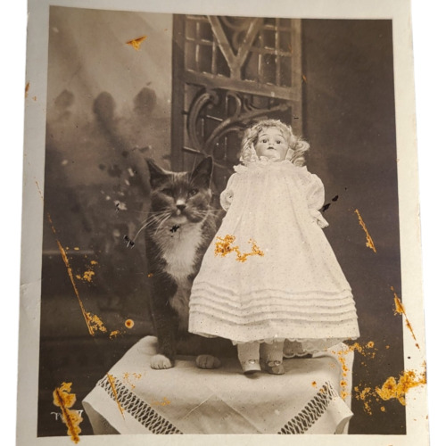 AMAZING RPPC Cat & Doll on Table Vintage Antique Photo Postcard