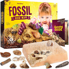 Real Fossil Dig Kit for Kids - Mega Science Kits for Boys & Girls Age 8-12 - Bir