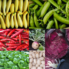 300+ Heirloom Vegetable Seed 6 Variety Garden Set #5 Grow Your Groceries NonGMO