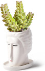 New ListingCeramic Boy Face Planter Pot, Elegant Succulent and Cactus Planter with Drainage