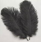BULK 50pcs Black Ostrich Feathers 15-20cm DIY Craft Millinery Costume Decor Part