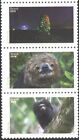 Mint stamps Fauna Wild animals 2019  from Brazil Brasil  avdpz