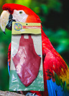 New ListingBird Parrot Flightsuit Avian Fashions Bird Parrot
