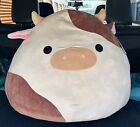 New! Squishmallows Ronnie the Cow 24