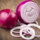 Red Creole Onion Seeds | Non-GMO | Free Shipping | Seed Store | 1070