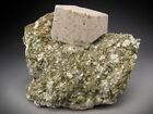 Orthoclase Feldspar Crystal on Matrix Jarilla Mountains New Mexico