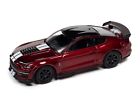 Auto World NEW '20 Shelby GT-500 Carbon Fiber Track 1:64 Scale Diecast Car 362B
