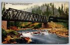 Junction North Fork Nehalem Salmonberry Rivers Train Bridge OR C1920 Postcard R8