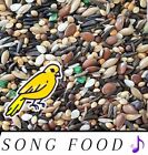 Canary Song Food Treat For Canaries FRESH!!! From Bulk Choose Size!!!