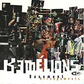Basement Arrangements by Kame'Lions / Kemelions (CD, Nov-1992, Zoo) Sealed