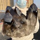 6.51LB Large Natural Beautiful Black Quartz Crystal Cluster Mineral Specimen