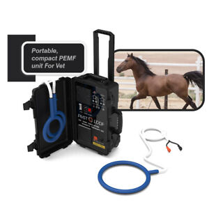 Horses PEMF Pulse Electromagnetic Therapy PMST Machine Double Loop F Pain Relief