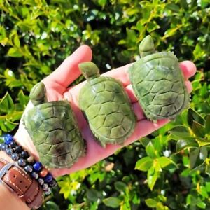 Nephrite Jade Turtle Crystal Carving Hand Carved Figurine Home Garden Decor Gift