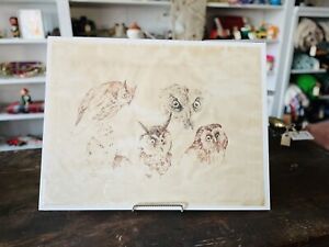 Vintage NORMAN BRUMM ORIGINAL Sketch Drawing Artwork Owls Signed