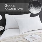 2 x Soft Goose Down Pillow 1080g Sleeping Pillow Insert Cotton Shell Queen Size