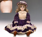 Bisque Doll Germany Armand Marseille Girl Doll Blue Eyes Bordeaux Velour Dress
