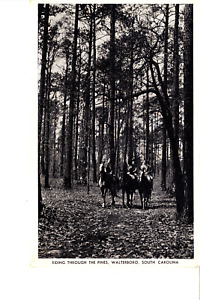Walterboro, South Carolina  Riding Through The Pines 1930s