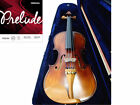 Prelude Strings - 4/4 Antique violin-Boxwood Accessories-Shoulder Rest-Case-Bow