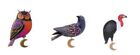 Hallmark 2016 Happy “Owl”oween 2017 Ravishing Raven 2021 SpooKy Vulture - Three