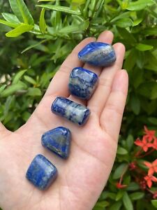 Grade A++ Lapis Lazuli Tumbled Stone, 0.75-1 Inch Lapis Crystals, Wholesale Bulk