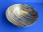8 inch Round Striped Cow/Buffalo horn Bowl from India taxidermy #47912