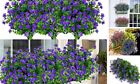 New ListingBundles Outdoor Artificial Flowers UV Resistant Fake Boxwood Plants, 6 Purple