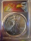 2023 American Silver Eagle MS70 First Strike - AIP MASTER DESIGNER