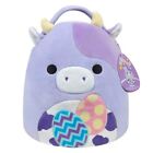 Squishmallows 2014 Easter Basket 12