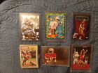 Jerry Rice Rookie Card Collection