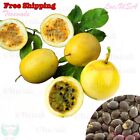 Yellow Passion Fruit, Passiflora Edulis, Vine Passion Flower Seeds | NON-GMO