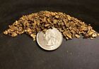 PREMIUM Gold Nugget Paydirt - Look for LARGE Gold Nuggets Pickers Panning