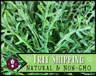 5,700+ Arugula Seeds [Slow Bolt] Vegetable Gardening Seed, Heirloom, Non-GMO