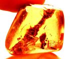 22.25 Cts. Natural Genuine Old Baltic Amber Untreated Certified Gemstone