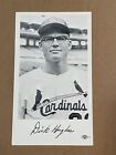1968 Dick Hughes St. Louis Cardinals Team Issue Postcard