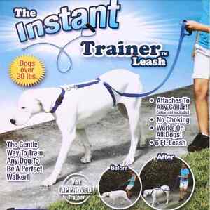 Instant Trainer Dog Leash Trains Dogs 30 Lbs Stop Pulling As Seen On Tv Dogwalk