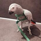 Parrot Bird Harness Leash Adjustable Training Rope Flying Traction Straps Band.