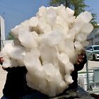 53.24LB Natural Large Himalayan quartz cluster white crystal ore Earth specimen