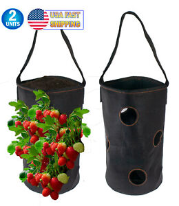 Vertical Garden Hanging Planter 7 Hole Bag for Strawberry & Bare Root Plants
