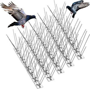 Bird Spikes for Small Birds Bird Deterrent Spikes Stainless Steel Pigeon Bird...