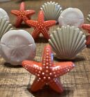 One Dozen Plastic DECOPAC Seashell Beach Theme Party Favor Cupcake Toppers Rings