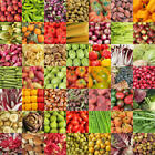 #4 Heirloom Vegetable 150+ seeds 6 Variety Garden Set Emergency Survival NON-GMO