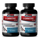 Testosterone Booster B0 - L-Carnitine 510mg 2B - Carnitine Burn Fat Tablets