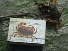 Sea Crab Wooden Box Treasure Chest- Picture / Shell Fish / Nautical / Trinket