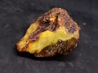 Amber White Raw Baltic Stones Natural Nuggets 52gr 琥珀色 العنبر