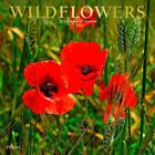 Browntrout,  Wildflowers 2024 Wall Calendar