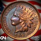 1895 Indian Head Cent Penny Y3295