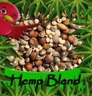 One Pound Hemp Bird Seed Blend Now with 50% More Hemp Seeds