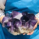 4810G Natural Amethyst Cluster Purple Quartz Crystal Rare Mineral Specimen