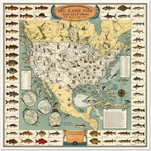Pictoral Fishing Map of the USA's Big Game Fish circa 1936 24 inches x 24 inches